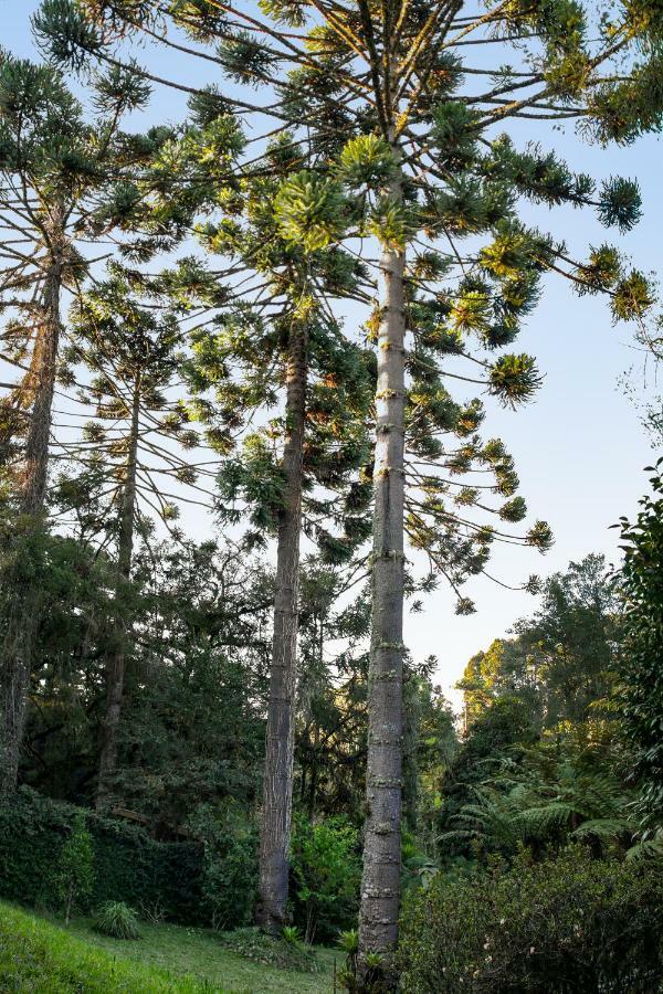 Suite "Vale Do Luar" - Capivari Кампус-ду-Жордау Экстерьер фото